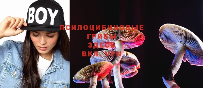 Псилоцибиновые грибы Magic Shrooms  Саратов 